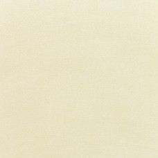 5453 Canvas Canvas